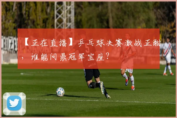 【正在直播】乒乓球决赛激战正酣，谁能问鼎冠军宝座？