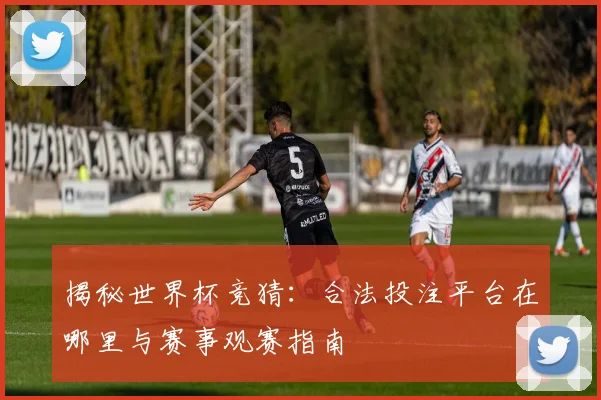 揭秘世界杯竞猜：合法投注平台在哪里与赛事观赛指南